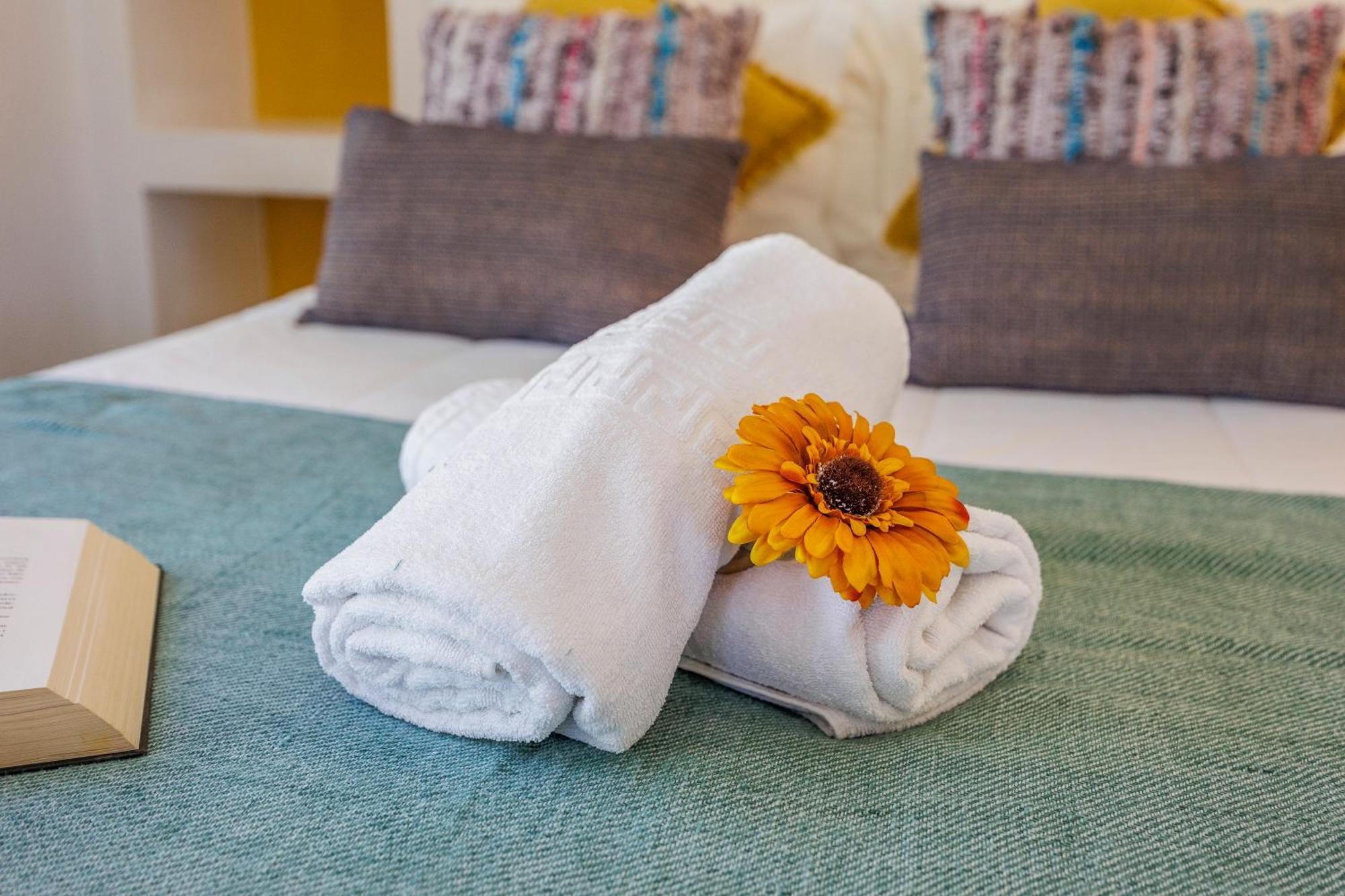 Tons Da Terra - & Country house Sao Domingos (Setubal)